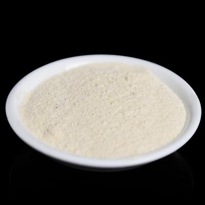 Cas No:70084-87-6 Wheat Protein Powder  