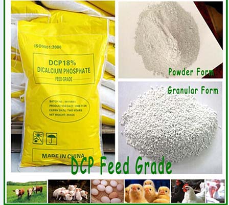 DCP Photo（Granular2）.jpg